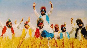 punjabi gold