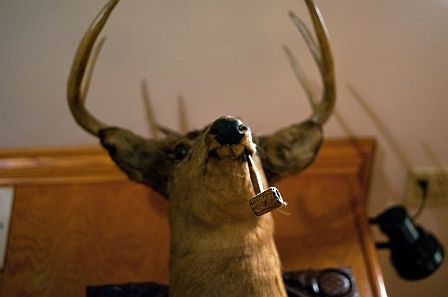 deer smoking pipe
