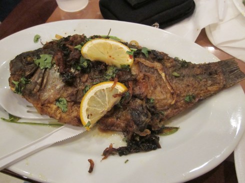 Grilled tilapia