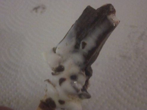 good humor chocolate candy