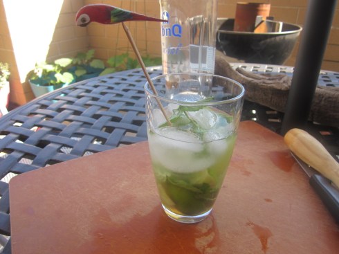 mojito 013