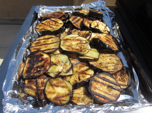 Coppertoned eggplant