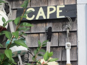 Cape Cod 2012 015