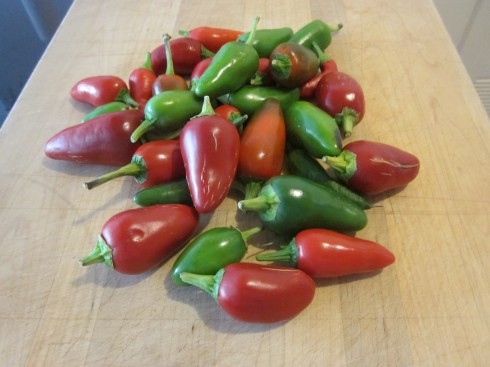 Fresno Peppers