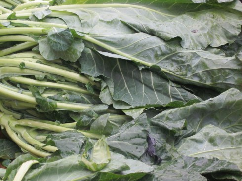 Collard greens