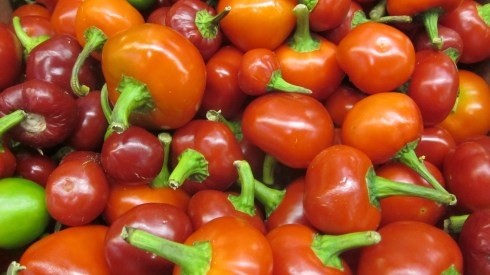 Cherry Peppers