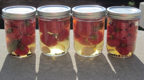 Porch pickled peppers