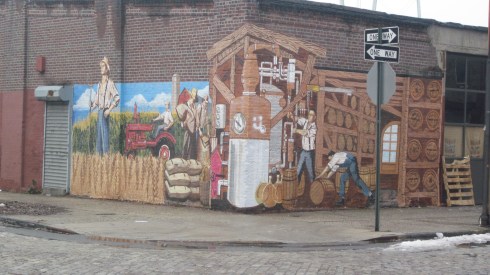 Harvesting sugar can in Red Hook during a Polar Vortex.